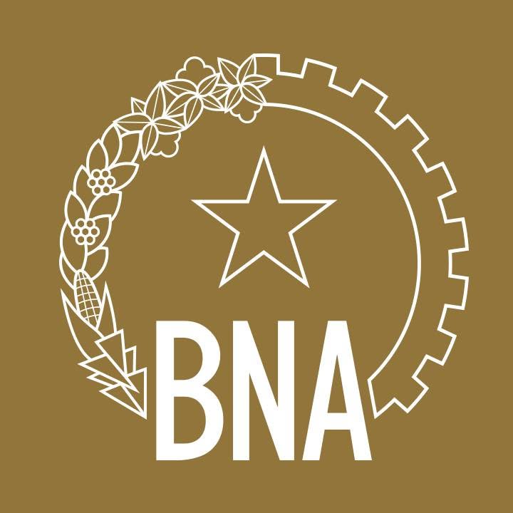 Logótipo do BNA